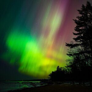 Meet your Posher, Rithik